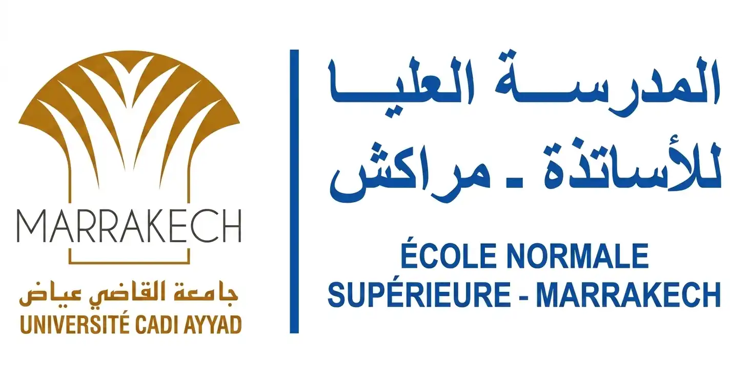 Logo ENSM