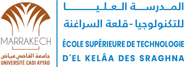 Logo ESTK