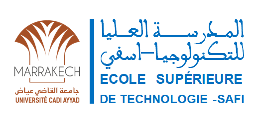 Logo ESTS
