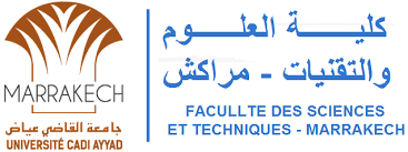 Logo FSTM